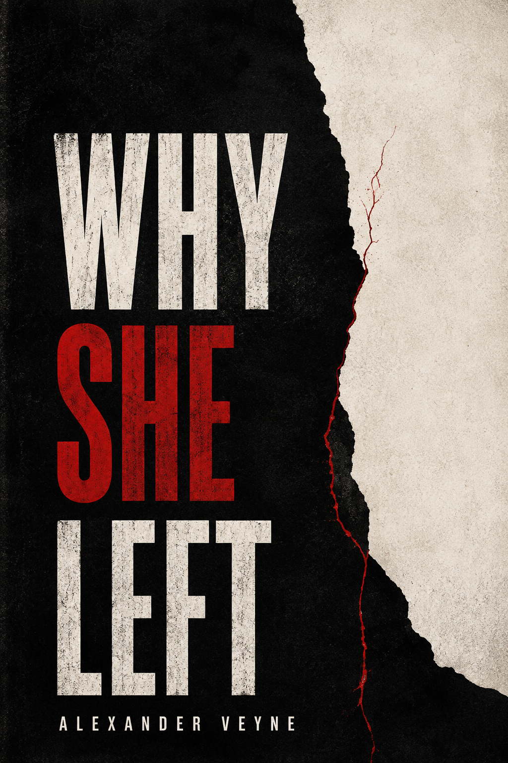 Cover of Why She Left by Alexander Veyne